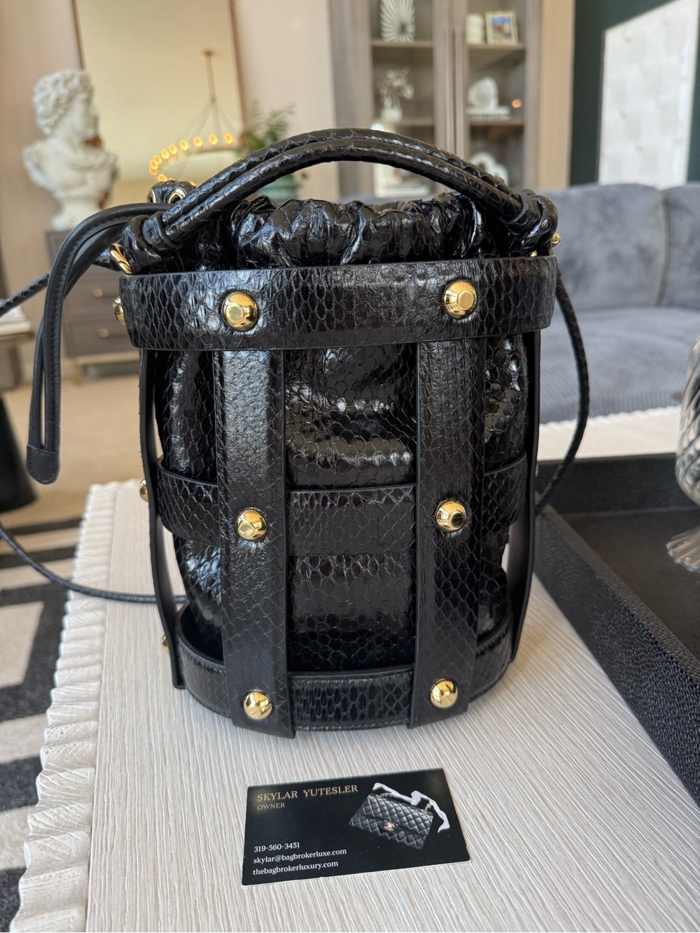 Ferragamo Python Cage Bag